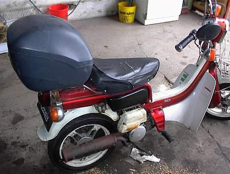 Suzuki fz50 billede 1