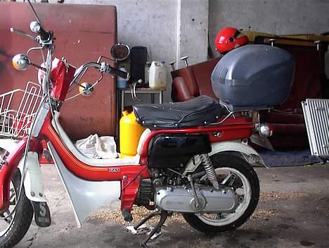 Suzuki fz50 billede 3