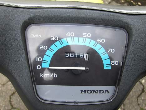 Honda Wallaroo (Byttet)  billede 8