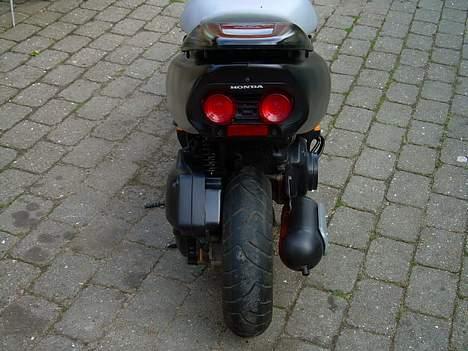 Honda SFX - Stort bagdæk. billede 3