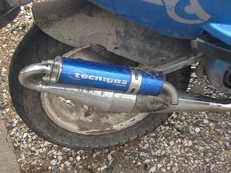 PGO dr.big bytte til en polo  billede 13