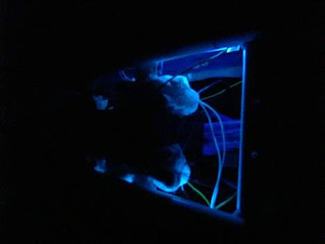 Suzuki fz50 stjålet finde lønd  billede 13