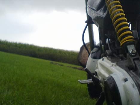 Suzuki Street magic solgt billede 12