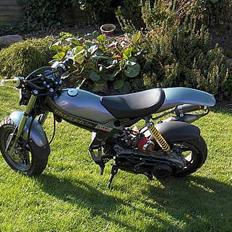 Suzuki street magic SOLGT