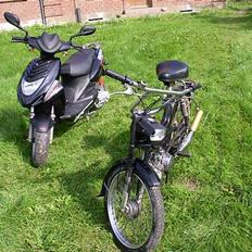 Puch Maxi KL SOLGT