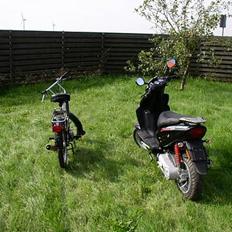 Puch Maxi KL SOLGT