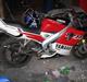 Yamaha tzr (smadret)