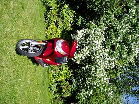 Peugeot Looxor - nyt! billede 14