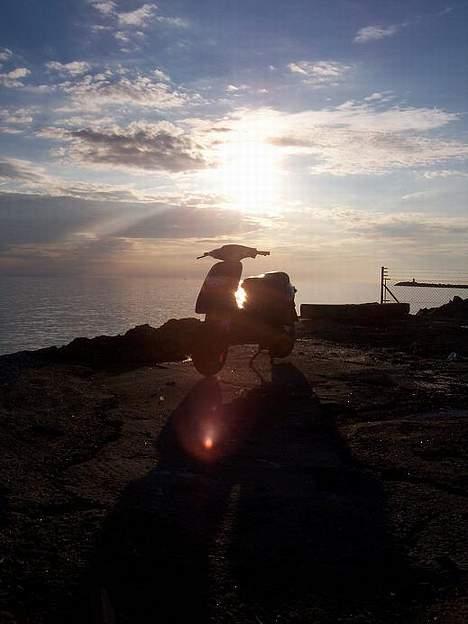 Piaggio typhoon- SOLGT billede 1