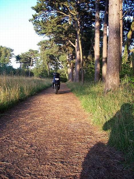 Piaggio typhoon- SOLGT billede 7