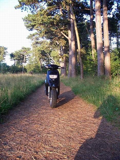 Piaggio typhoon- SOLGT billede 8