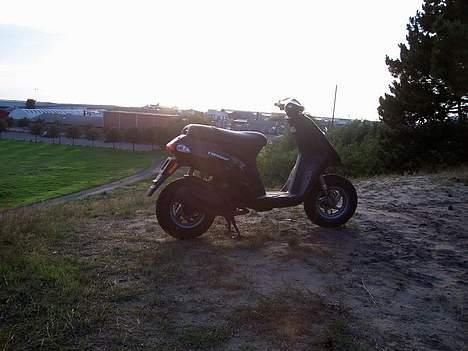 Piaggio typhoon- SOLGT billede 12