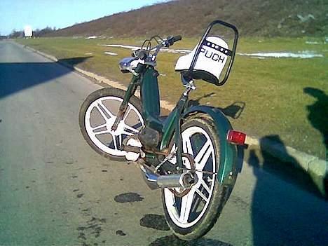 Puch maxi GREEN LIGHTNING billede 11