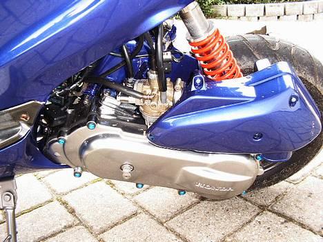 Honda SFX *Projekt* billede 2