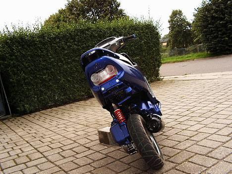 Honda SFX *Projekt* billede 4