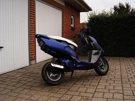 Honda SFX *Projekt* billede 7