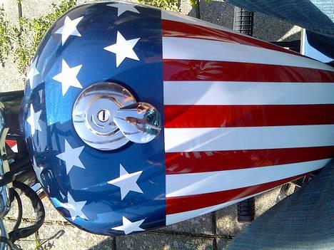 Regal raptor SOLGT billede 1