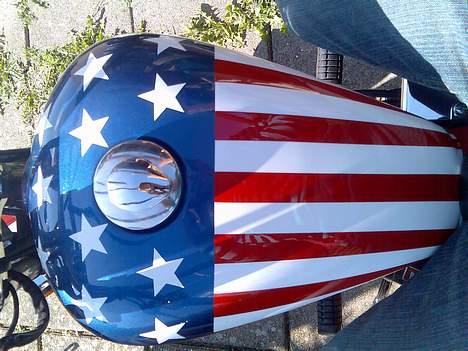 Regal raptor SOLGT billede 2