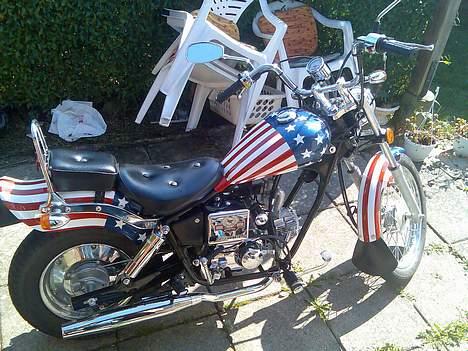 Regal raptor SOLGT billede 3