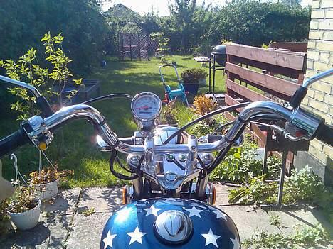 Regal raptor SOLGT billede 4