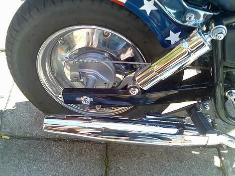 Regal raptor SOLGT billede 5