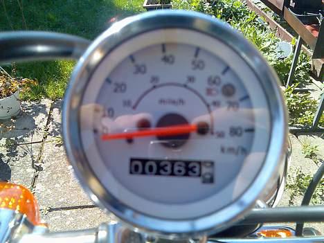 Regal raptor SOLGT billede 6