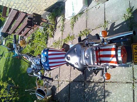 Regal raptor SOLGT billede 7