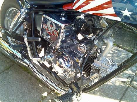 Regal raptor SOLGT billede 8