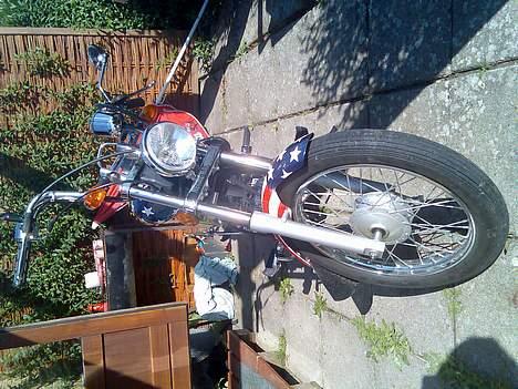 Regal raptor SOLGT billede 10