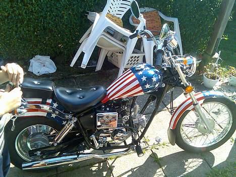 Regal raptor SOLGT billede 11