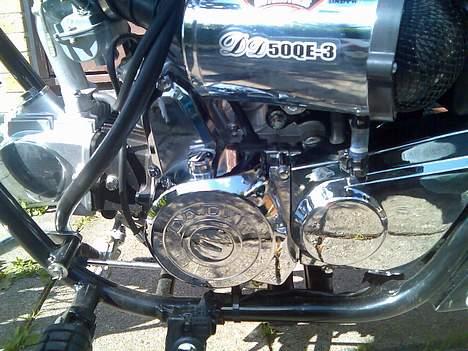 Regal raptor SOLGT billede 12