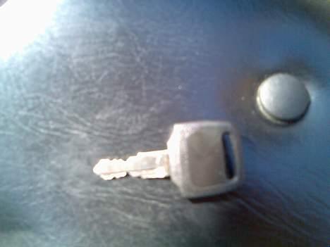 Regal raptor SOLGT billede 13