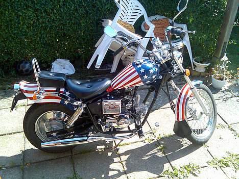 Regal raptor SOLGT billede 14