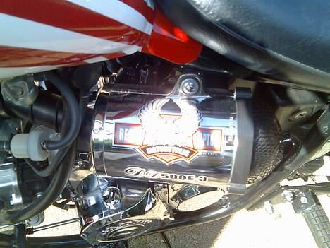 Regal raptor SOLGT billede 16