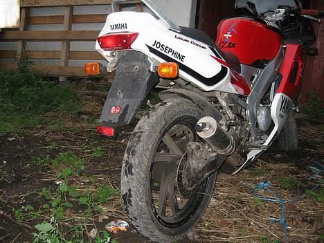 Yamaha tzr (smadret) billede 13