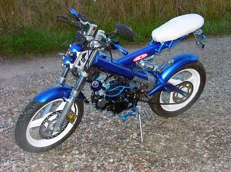 Sachs madass billede 1