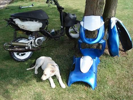 Aprilia Sonic             [SOLGT] billede 6