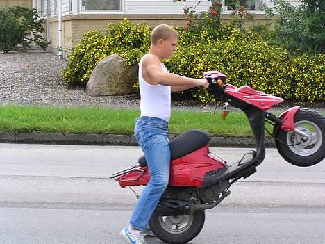 Aprilia Sonic / Er blevet stjålet - Mig på Martin´s Hot ! Kørte 250 M på Baghjul den dag billede 8