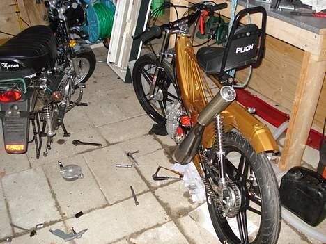 Puch Maxi KL "The Fox" SD - bagfra billede 5