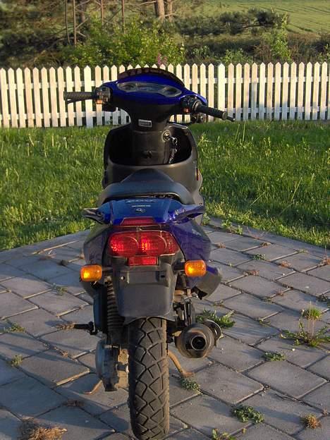 PGO dr.big(solgt) billede 6