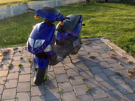 PGO dr.big(solgt) billede 7