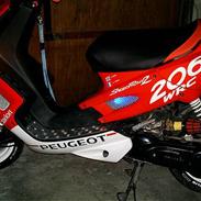 Peugeot speedfight 206 wrc