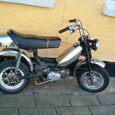 MiniBike Hjemmekras