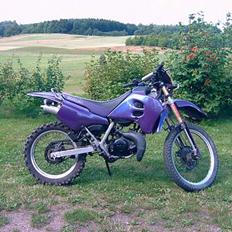 Suzuki Rmx