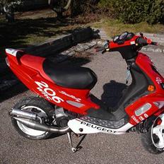 Peugeot speedfight 206 wrc