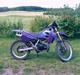 Suzuki Rmx