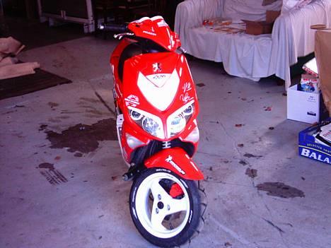 Peugeot Speedfight 206 WRC (Solgt billede 6