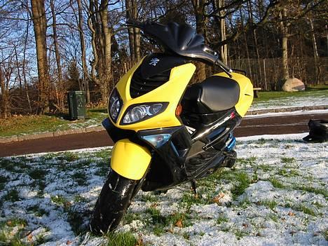 Peugeot Speedfight 2 SOLGT - Jah igen i sneen.. Hun er helt vild med sne jo ;D billede 4