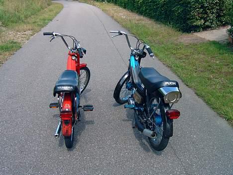 Puch maxi p - god røv billede 2