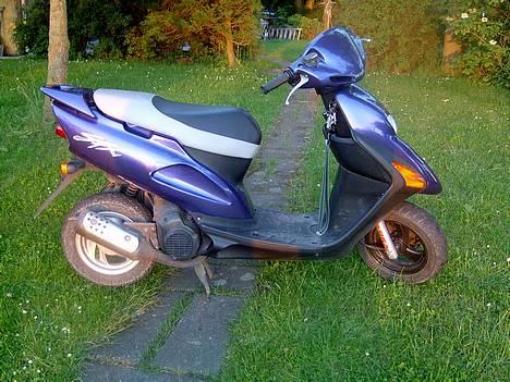 Honda SFX billede 4